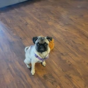 Meet your Posher, Tammy